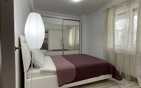 Renting Solutions Iulius Mall
